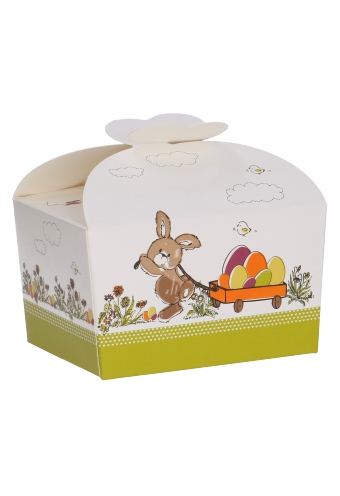 Bonbondoosjes Haas 250gram Met Vlindersluiting 9.5x7.5x6cm 25stuks