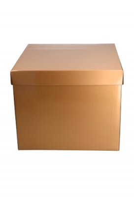 Luxe Geschenkdoos Torino Goud Glossy FSC® 40x40x35cm 20stuks