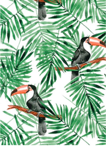 Cadeaupapier Coated toucan 50cm x 200meter