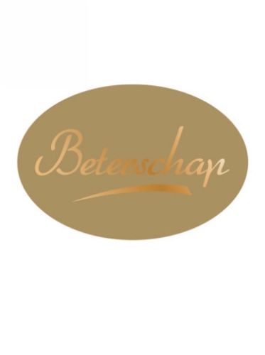 Etiketten Everyday Beterschap Goud 3.7x2.5cm 500stuks