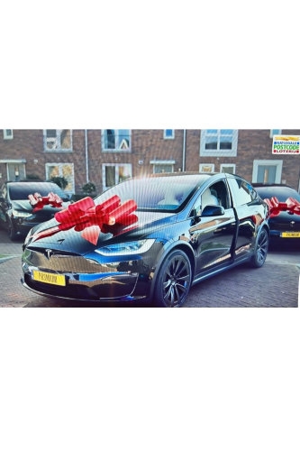 Megastrik Autostrik Toronto Rood 86x103cm