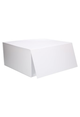 Luxe Magneetdozen New York FSC® Wit Mat 40x40x20cm 10stuks