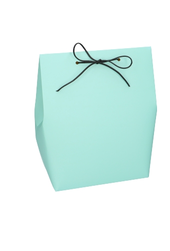 Kadozakjes Borgo Mintgroen 18x11.5x24.5cm 10stuks