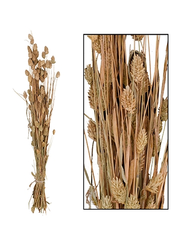 Droogbloemen Bunch Phalaris Naturel Wit 76x14.5x7cm OP IS OP