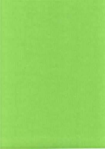 Luxe Kraft Dubbelzijdig Uni Appel Groen 70gram 30cm x 200meter