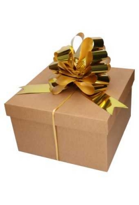 Strik Goud Metallic Doorsnee 27cm lint 6.8cm 1stuks