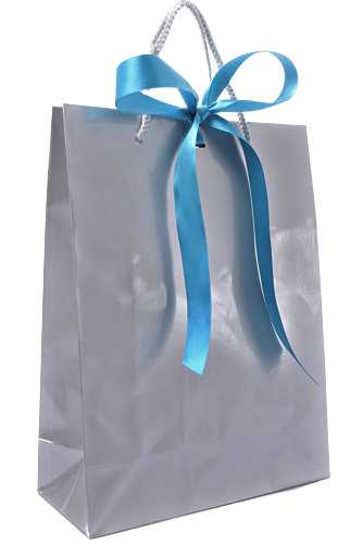 Kadotasje Sora Zilver Glans & Koord & Lintgleuf 24x10x32cm 10stuks