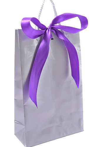 Kadotasje Sora Zilver Glans & Koord & Lintgleuf 16x7x25cm 10stuks