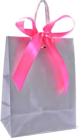 Kadotasje Sora Zilver Glans & Koord & Lintgleuf 15x9x20cm 10stuks