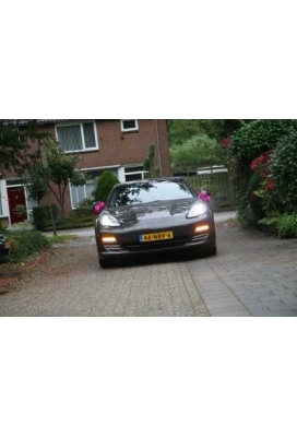 Strik Pink Metallic Doorsnee 27cm lint 6.8cm 1stuks