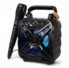 Brainz Karaoke Speaker Wheatstraw 24.5x9.8x19cm 1stuks Brainz Karaoke Speaker Wheatstraw 24.5x9.8x19cm 1stuks