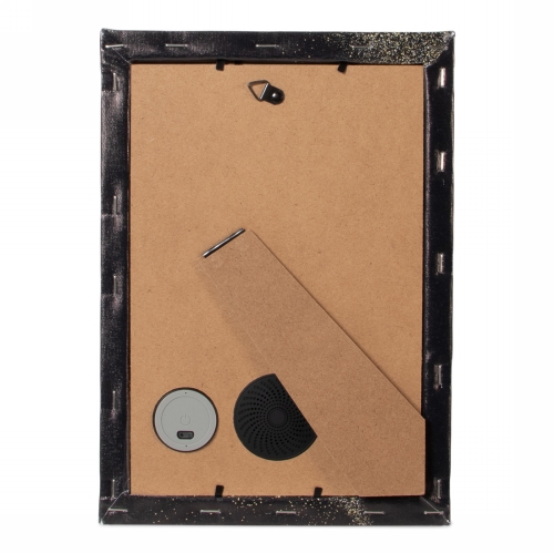 Brainz Painting Speaker 20x28x4cm 1stuks Brainz Painting Speaker 20x28x4cm 1stuks
