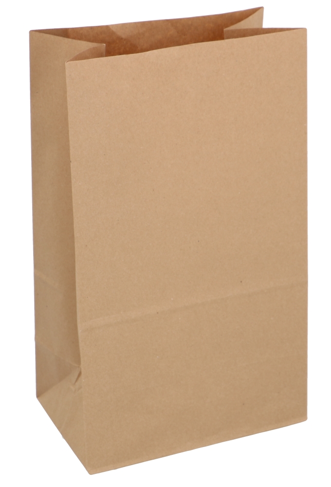 Blokbodemzakken Kraft XL 22x14x36cm 250stuks