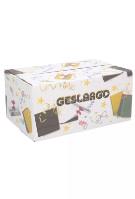 Geschenkdozen Geslaagd 31x20x14cm 30stuks