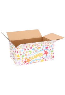 Geschenkdozen Zomer Summer Sea Star 31x20x14cm 30stuks