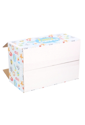 Geschenkdozen Zomer Happy Summer 31x20x14cm 30stuks