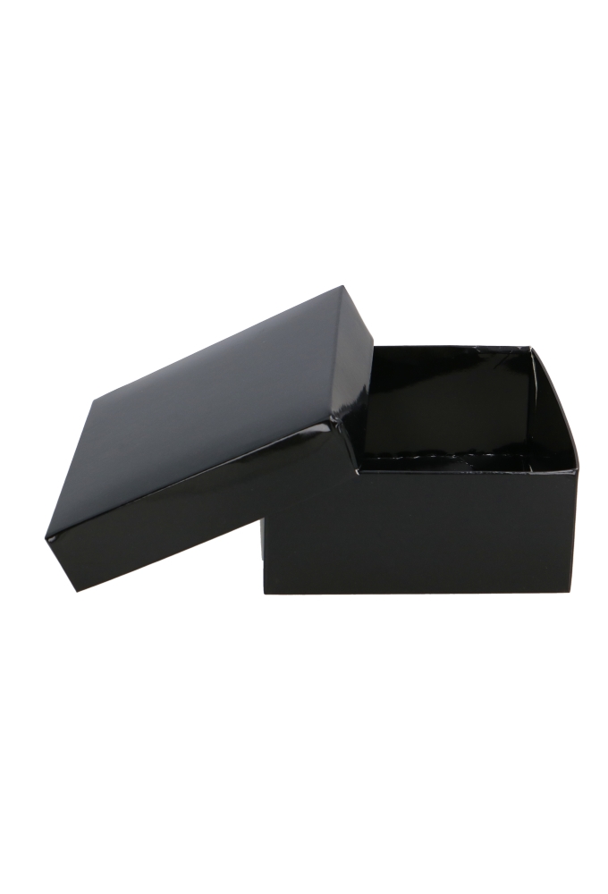 Geschenkdoos & Deksel Gaby Zwart Blinkend 25x20x5cm 50stuks