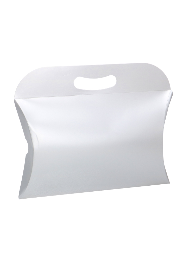 Gondeldoos Met Handgreep Zilver 24x19x4cm 250gr 25stuks OP IS OP