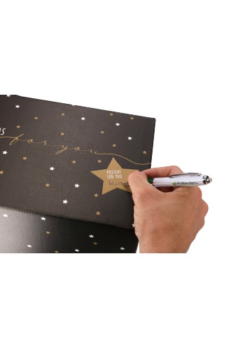 Kerstpakketdozen Golden Stars Present For You Blackbox 31x20x14cm 15st