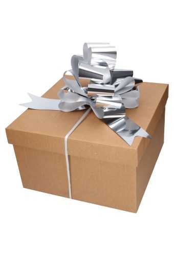 Strik Zilver Metallic Doorsnee 27cm lint 6.8cm 1stuks