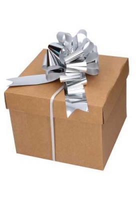 Strik Zilver Metallic Doorsnee 15cm lint 5cm 1stuks