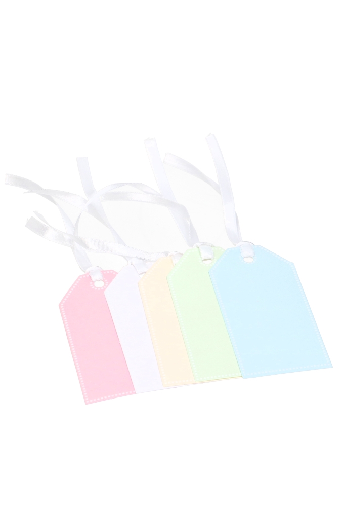 Kadokaartje Pastel Kleuren Assortie Blanco & Koord 4.5x8.5cm 100stuks