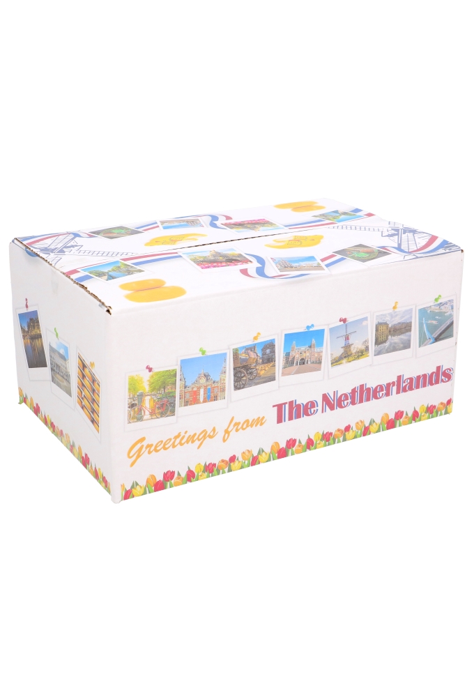 Geschenkdozen Greetings The Netherlands 31x20x14cm 30stuks