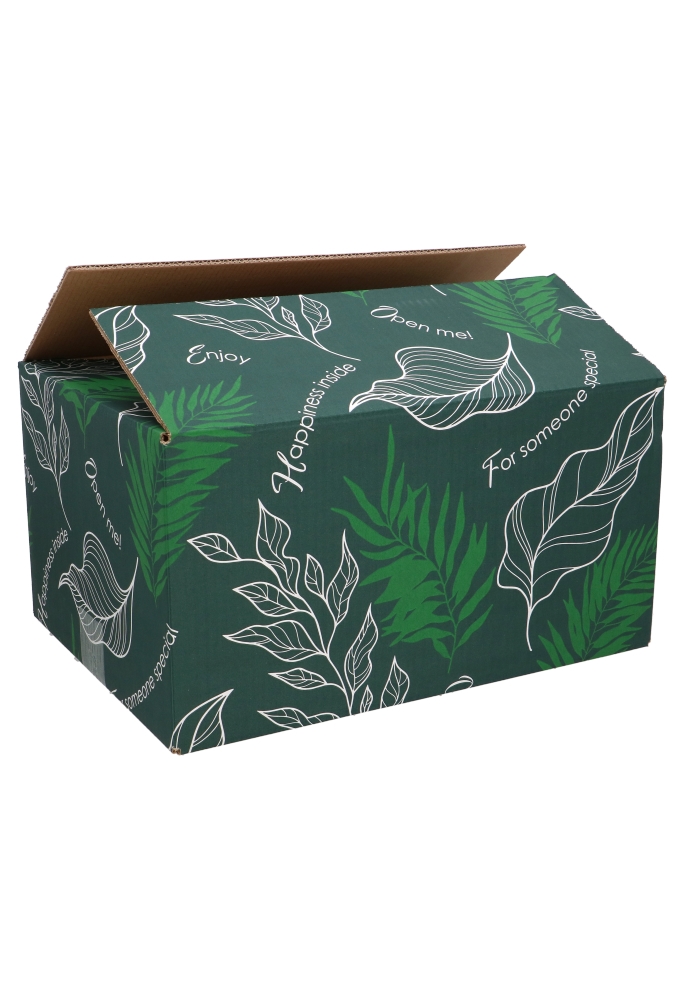 Geschenkdozen Leaves Groen 49x39x20cm 15stuks