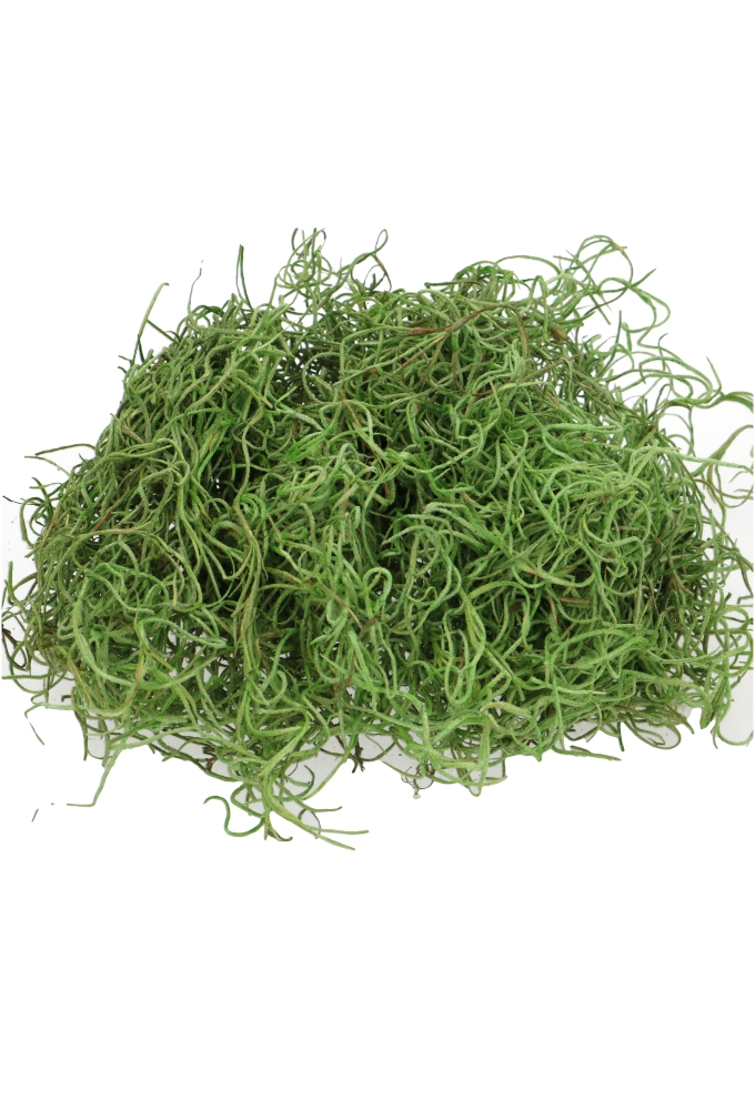 Mos Decoratie & Vullingmateriaal Tillansiamis Groen 30 gram