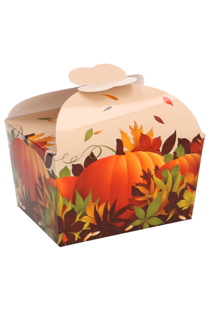 Bonbondoosjes Herfst Pompoen 500gr & Vlindersluiting 11.5x9x7cm 24st