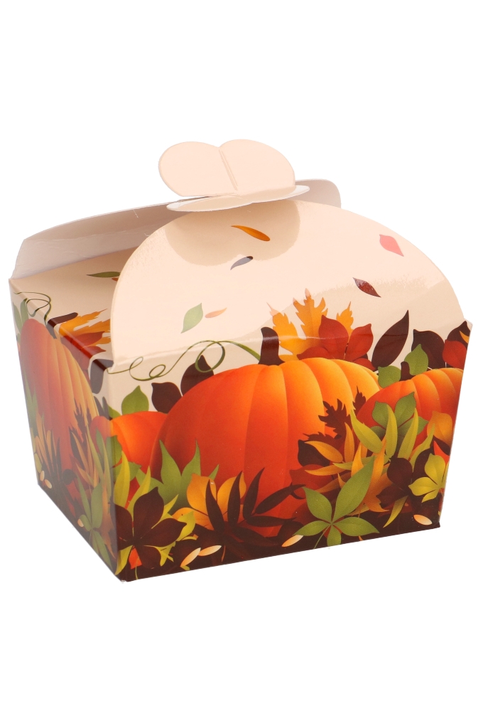 Bonbondoosjes Herfst Pompoen 125gr & Vlindersluiting 7.6x6x4.8cm 24st