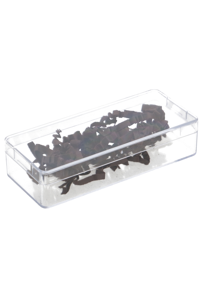 Rechthoekig transparant doosje 86x34x18mm 1020stuks