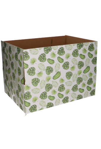 Geschenkdozen Jungle 39x29x13cm 15stuks