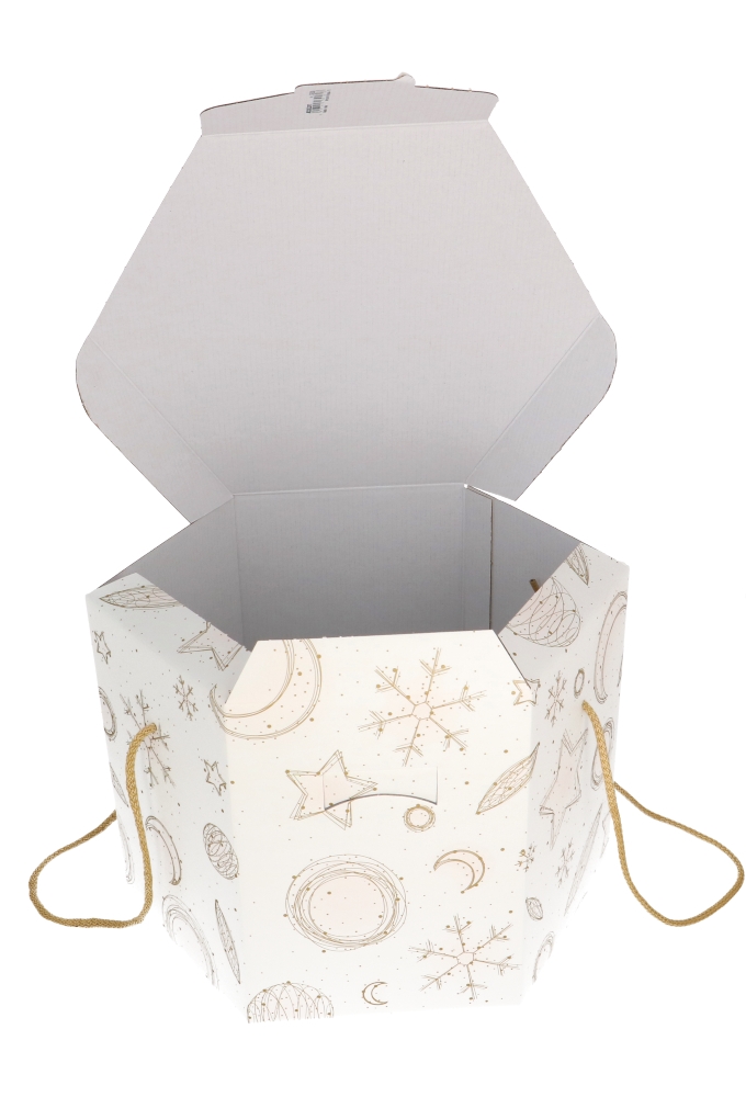 Geschenkdoos Wit Celestial Christmas Koord 24.5x24.5x18cm 2stuks