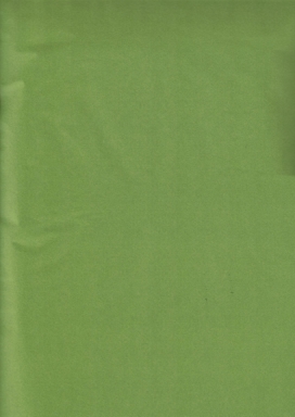 Zijdevloei - Vloeipapier Onbedrukt Mos Groen 50x75cm 240 vellen