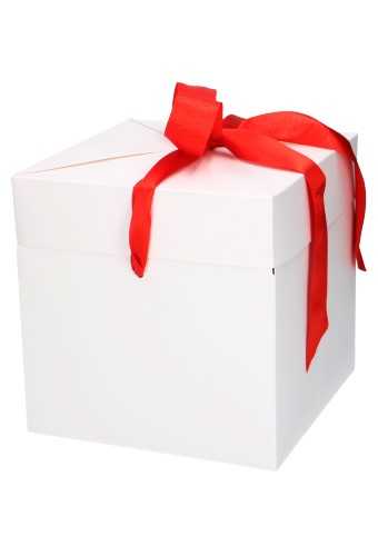 Geschenkdoos Regalo Wit Mat & Rood Lint 20x20x20cm 25stuks