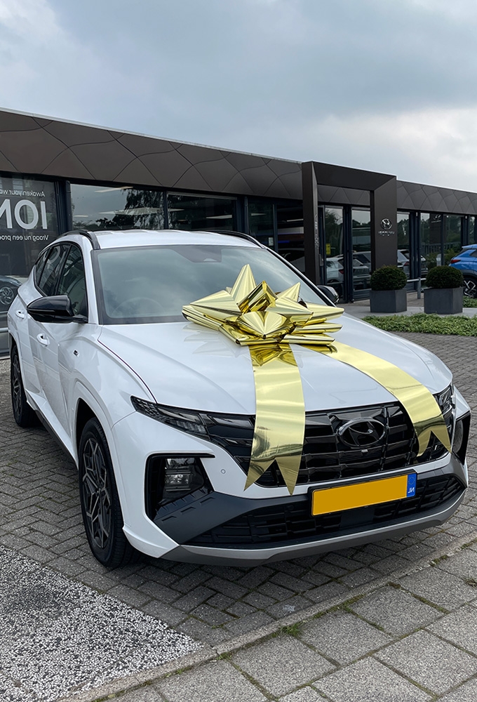 Autostrik Vienna Metallic Goud d80cm+80cm Magnum Bows 