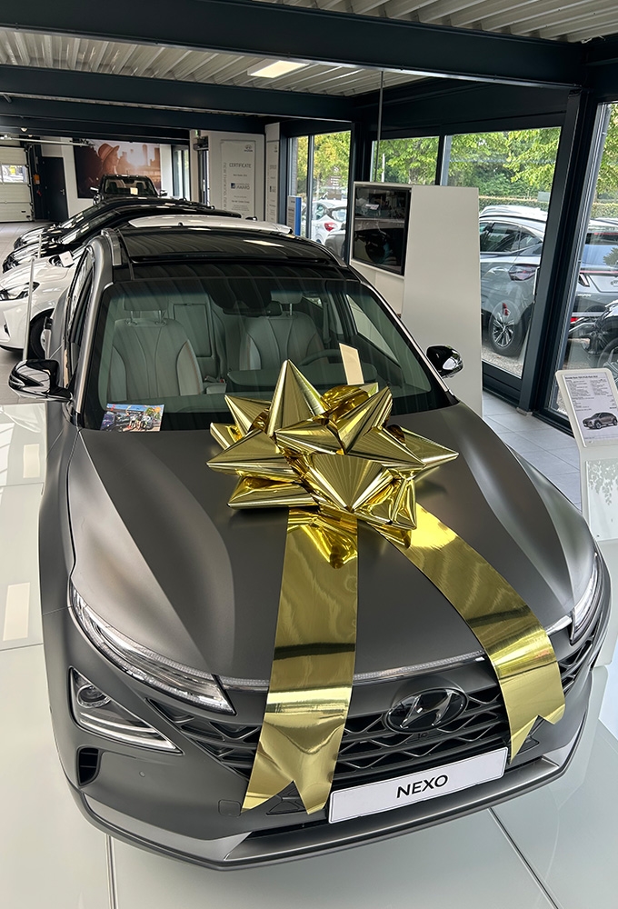 Autostrik Vienna Metallic Goud d80cm+80cm Magnum Bows 