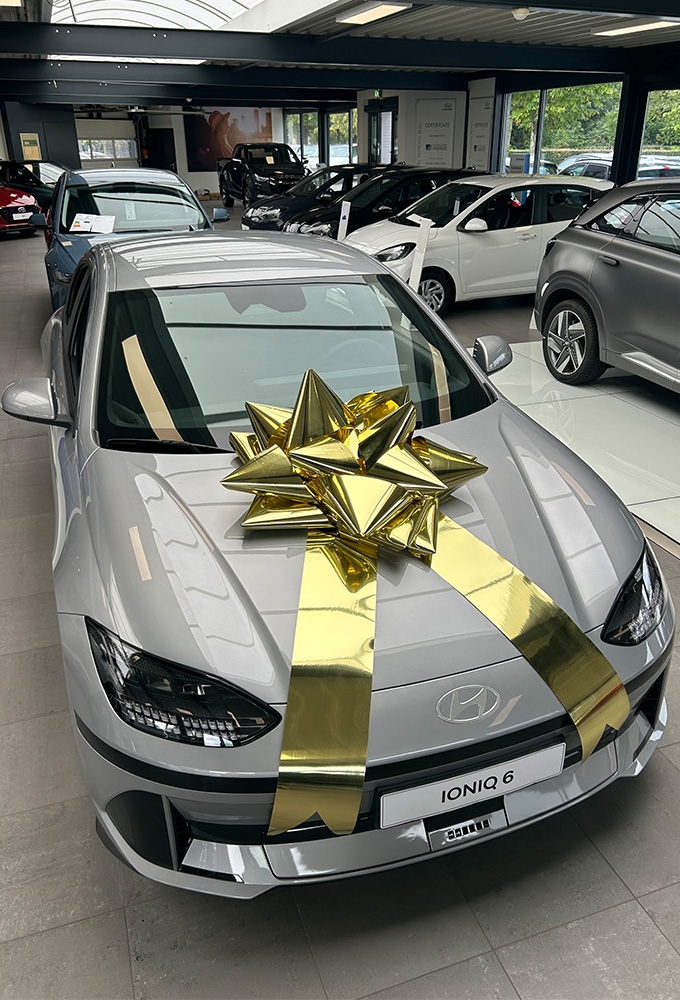 Autostrik Vienna Metallic Goud d80cm+80cm Magnum Bows 