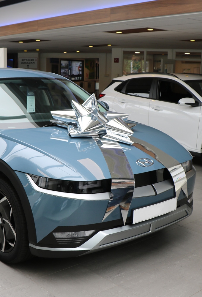 Autostrik Vienna Metallic Zilver d80cm+80cm Magnum Bows 