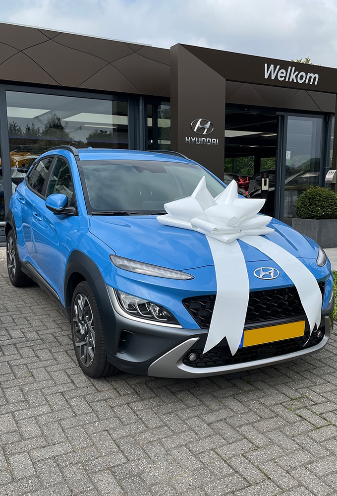 Autostrik Vienna Metallic Wit d80cm+80cm Magnum Bows 