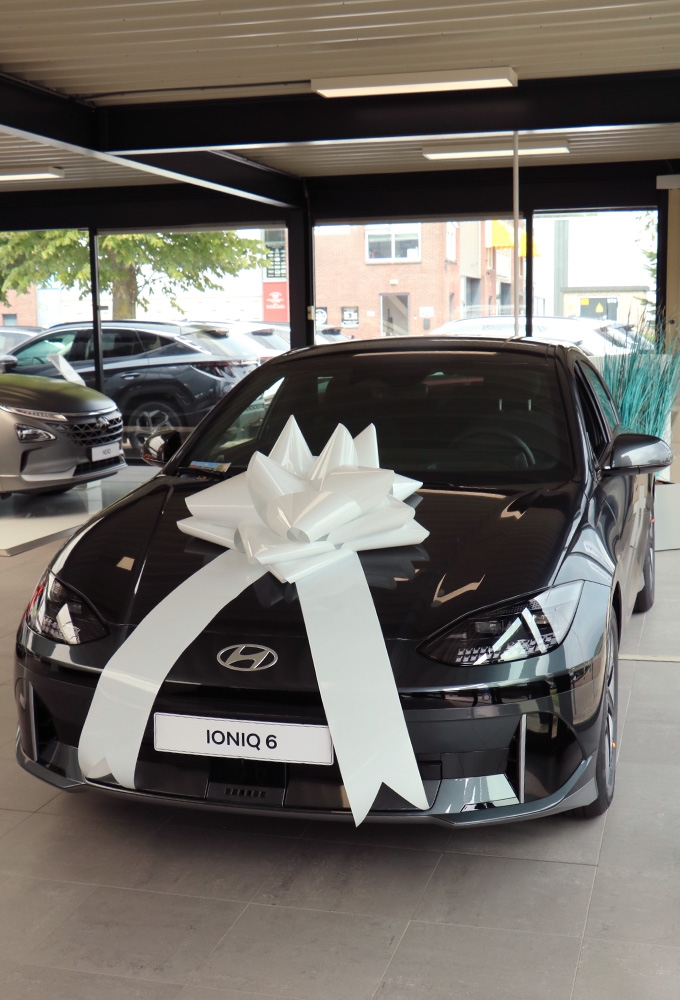 Autostrik Vienna Metallic Wit d80cm+80cm Magnum Bows 