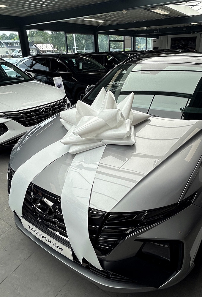 Autostrik Vienna Metallic Wit d80cm+80cm Magnum Bows 