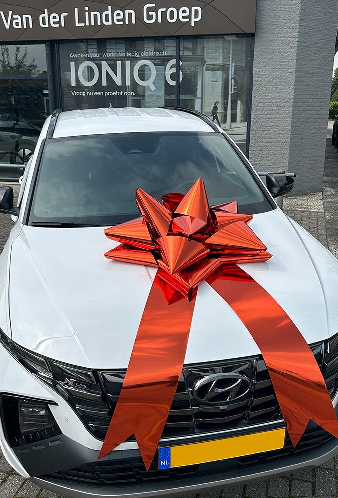 Autostrik Vienna Metallic Oranje d80cm+80cm Magnum Bows 