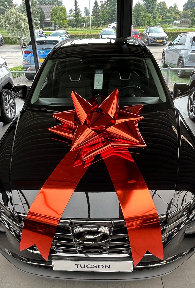 Autostrik Vienna Metallic Oranje d80cm+80cm Magnum Bows 