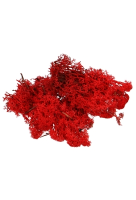 Mos Decoratie & Vullingmateriaal Reindeer Rood 40 gram