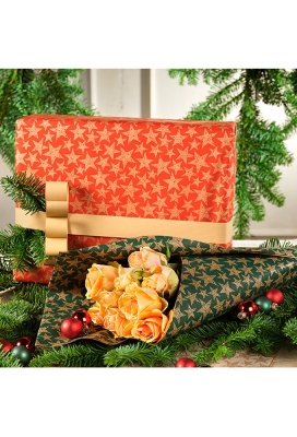 Kadopapier Kraft Rood Stars 70cm x 25meter FSC® OP IS OP Kadopapier Kraft Rood Stars 70cm x 25meter FSC® OP IS OP