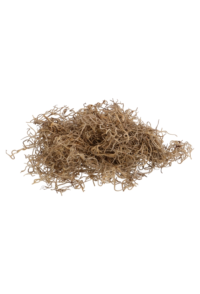 Mos Decoratie & Vullingmateriaal Tillansiamis Naturel 30 gram