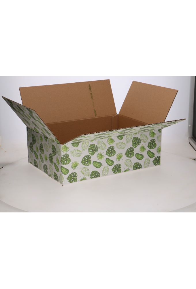 Geschenkdozen Jungle 39x29x13cm 15stuks