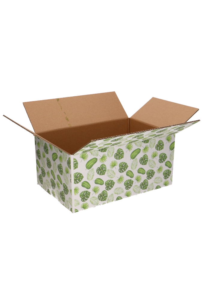 Geschenkdozen Jungle 31x20x14cm 30stuks